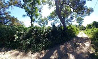 Imagem 7: CHÁCARA NO BARRANCO ALTO 2