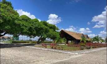 Imagem 2: LIMOEIRO - Casa Padrão - CAMPO GRANDE