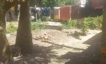 Imagem 3: Vendo uma casa no Residencial Nestor