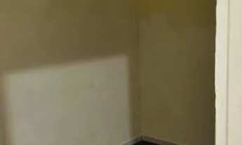 Imagem 5: Alugo casa - 2/4 e outras de 1/4