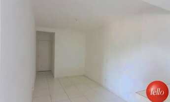 Imagem 3: São Paulo - Apartamento Padrão - Jabaquara