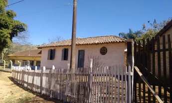 Imagem 6: Sitio de 160.000 metros ouro fino, espaço com piscina, vaca de leite, gado de corte