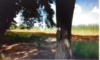Imagem 6: Fazenda a Venda 402 alqueires -São Carlos - SP