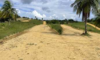Imagem 3: Terreno na ilha oportunidade