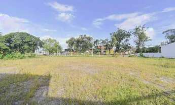 Imagem 3: Terreno para aluguel Pelotas