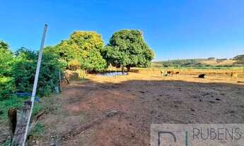 Imagem 3: CEDRAL (SP) Sítio 1,36 alqueires