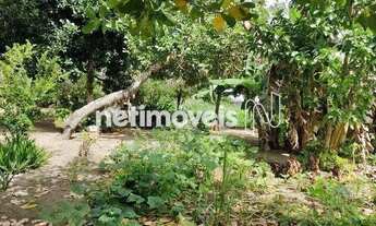 Imagem 5: Venda Lote-Área-Terreno Santo Antônio dos Prazeres Feira de Santana