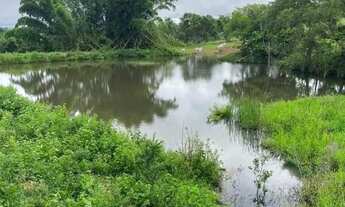 Imagem 2: Chácara à Venda em São Luís de Montes Belos-GO 6 Alqueires
