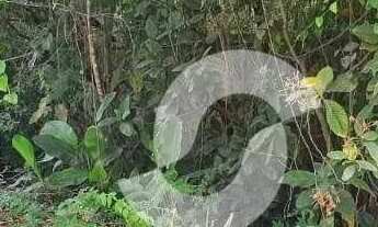 Imagem 6: Terreno à venda, 427 m² por R$ 500.000,00 - Maravista - Niterói/RJ