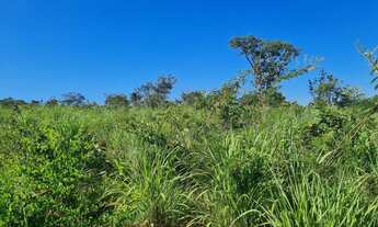 Imagem 7: Fazendinha /região MONTES CLAROS...149 Hectares!!!