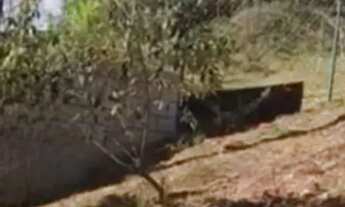 Imagem 7: TERRENO - CHÁCARAS SILVANIA - SP