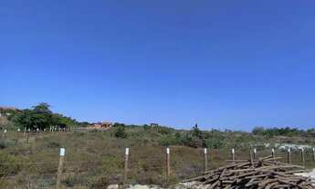 Imagem 4: Vendo TERRENO em SANTO AMARO-MA