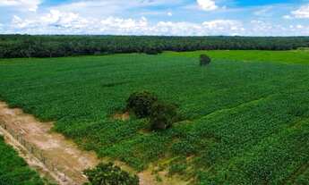 Imagem 4: FAZENDA MUNICÍPIO DE NOBRES