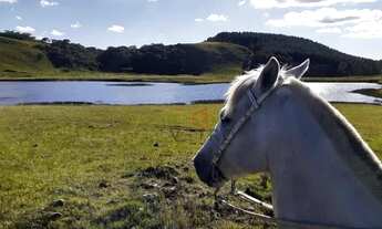 Imagem 7: Sítio em São José dos Ausentes!