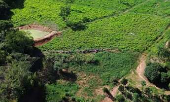 Imagem 3: Vendo Fazenda em Alexânia 11,3 Alqueires