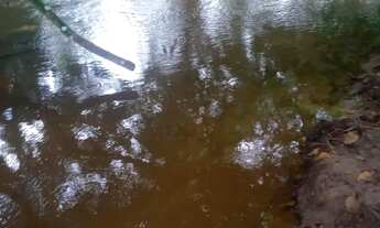 Imagem 2: Vendo sítio em jaguaripe povoado Palma