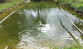 Imagem 2: Chácara com bosque, tanque de peixes, área de plantio à venda, 6.631 m² por R$ 230.000 - S