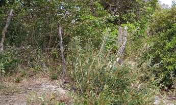 Imagem 5: Terreno em genipabu a 1 quilômetro do centro 10 por 40
