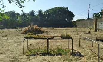 Imagem 6: Uma Chácara com aproximadamente 7200 m2 toda murada piscina deck com uma confortável casa