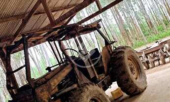 Imagem 7: FAZENDA COM ESTRUTURA PARA PISCICULTURA E EUCALIPTO - R$ 3.200.000,00 - SANTO ANTONIO LEVE