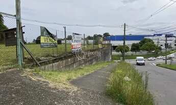 Imagem 6: Terrenos - Jardim Eldorado