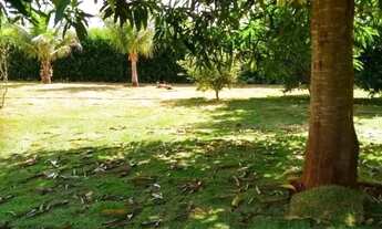 Imagem 7: Chácara para Venda em Setor Central Nova Veneza-GO