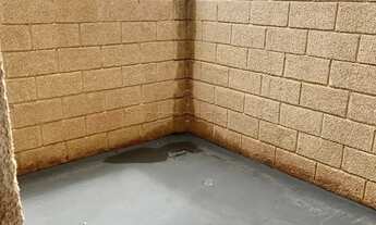 Imagem 4: Apartamento Padrão em São José do Rio Preto