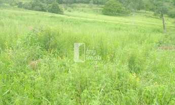 Imagem 5: Fazenda 40 Alqueires em Cocalzinho-GO