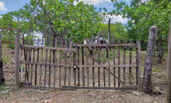 Imagem 6: SÍTIO NA ZONA SUL