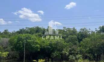 Imagem 3: Terreno Vila de Lindóia - 11.000 hectares