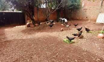 Imagem 3: Terreno em Americana