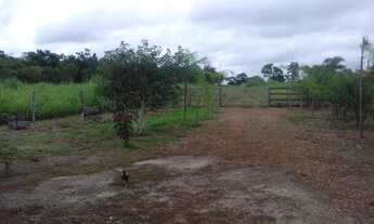 Imagem 7: Sítio oportunidade, 11 alqueire