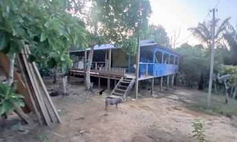 Imagem 2: Sítio avenda medindo 290 x 2000