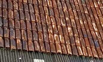 Imagem 7: São João do Manhuaçu terrenos a venda