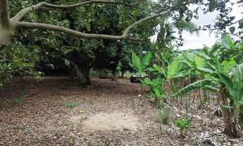 Imagem: Terreno plaino polenghi 35 km de Itapetininga