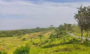 Imagem 3: Terreno acessível em Ibiúna pra começar a vida na natureza