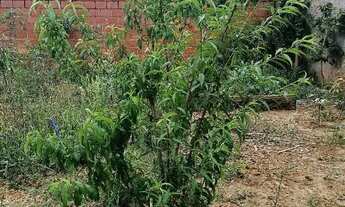 Imagem 2: Chácara Iperó Bananal