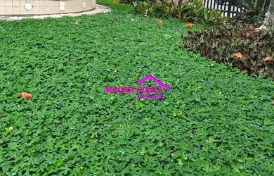 Imagem 3: APTO 2 QTOS - VENDA RECREIO DOS BANDEIRANTES