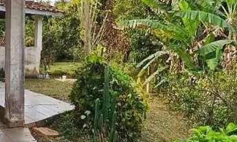 Imagem 2: Chácara à venda com 2 dormitórios no Loteamento Residencial Entre Verdes (Sousas), Campina