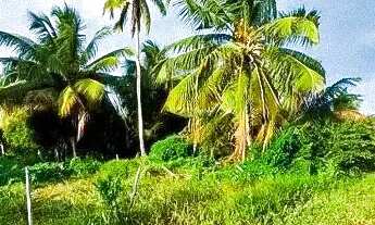 Imagem 3: Terreno de 40.000m² à venda - Barra dos Coqueiros/SE