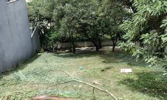 Imagem: TERRENO EM BAIRRO BEM ARBORIZADO