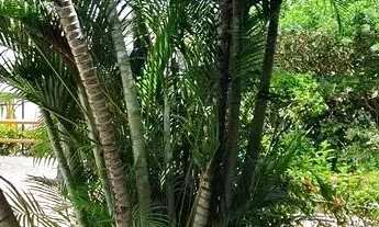 Imagem 4: Cores de Piatã Residence, Triplex, 4 Quartos, 2 suítes,150 m², 02 varandas, dependência, a