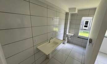 Imagem 3: DAU23// ARVORES 2 / CHAVE PRONTA ENTREGA