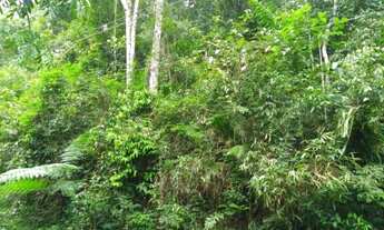 Imagem 4: Terreno à venda, 3020 m² por r$ 56.000 - fazenda boa fé - teresópolis/rj