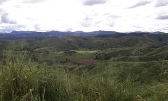Imagem 3: Fazenda 435 alqueires ,município de Itambacuri -MG