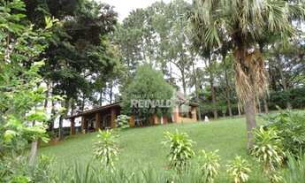 Imagem 4: Chácara com 4 dormitórios à venda, 5000 m² por R$ 1.060.000,00 - Jardim dos Lagos - Itatib