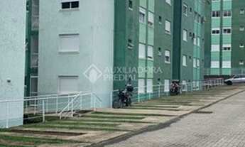 Imagem 2: CANELA - Padrão - Vila São Luiz