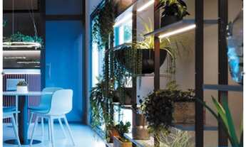 Imagem 2: Jd Oriente Aptos na planta