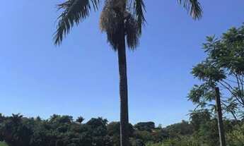 Imagem 5: Terreno à venda, 2500 m² por R$ 775.000,00 - Colinas do Mosteiro de Itaici - Indaiatuba/SP