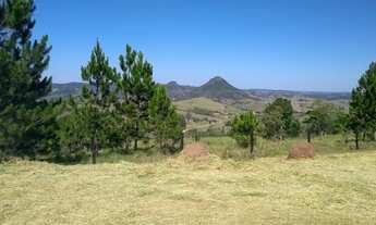 Imagem 4: Venda - Chácara em Torre de Pedra/SP